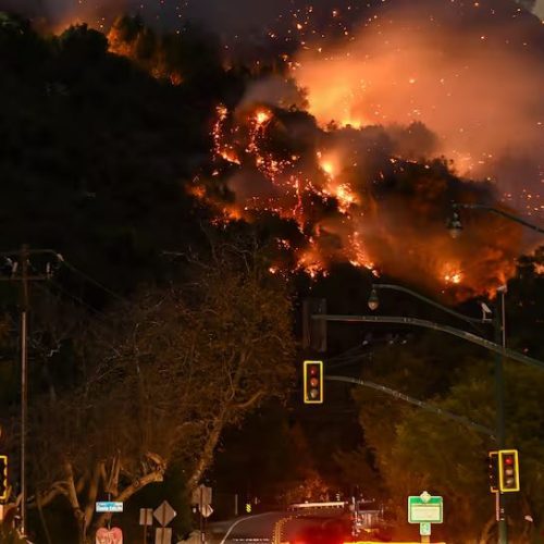 Todo sobre FireAid, el concierto solidario para los afectados por los incendios de Los Ángeles